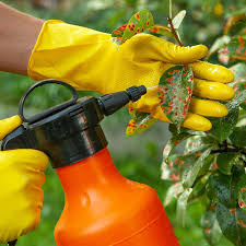 ΓΕΩΠΟΝΟΣ ΓΕΩΡΓΙΚΑ ΕΙΔΗ ΦΥΤΟΦΑΡΜΑΚΑ ECO FRESH ΛΑΜΙΑ ΦΘΙΩΤΙΔΑ ΛΑΓΓΑΣ ΙΩΑΝΝΗΣ ΚΑΙ ΣΙΑ ΕΕ