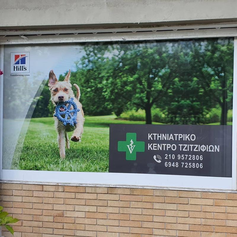 ΚΤΗΝΙΑΤΡΙΚΟ ΚΕΝΤΡΟ ΤΖΙΤΖΙΦΙΩΝ ΚΤΗΝΙΑΤΡΟΣ ΔΑΝΑ ΣΤΥΛΙΑΝΗ ΚΑΛΛΙΘΕΑ ΑΤΤΙΚΗΣ